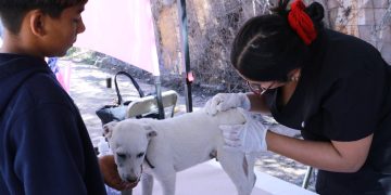 Estudiantes de la Unison realizan brigada de salud en el poblado Miguel Alemán