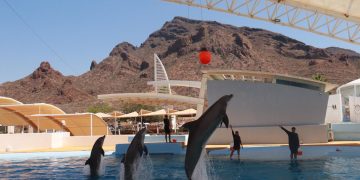 Delfinario se podrá disfrutar esta Semana Santa