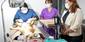 Supervisa alcaldesa Karla Córdova Centro de Atención Canino y Felino en Guaymas