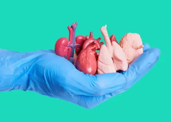 Llaman a fortalecer la cultura de donación en el Día Mundial del Trasplante de Órganos y Tejidos