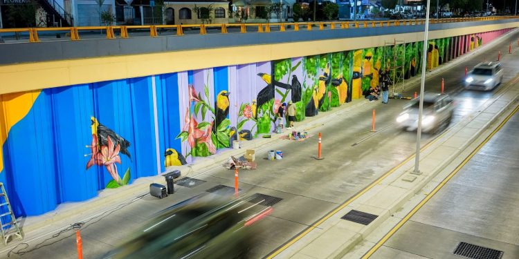 Arte urbano transforma el paso a desnivel de Colosio y Solidaridad en símbolo de identidad cultural