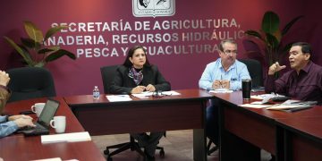 Sonora busca certificación internacional como zona libre de influenza aviar