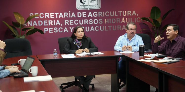 Sonora busca certificación internacional como zona libre de influenza aviar