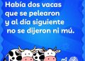 No se hablan ni mu