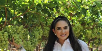 México supera su producción de uva y se alista el inicio del ciclo 2026 de cosecha en mesa