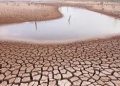 Persisten condiciones de sequía en Sonora; preocupa impacto en abasto de agua y sector agrícola