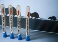 Llaman a mantener vigilancia sanitaria ante casos de hantavirus asociados a crucero internacional