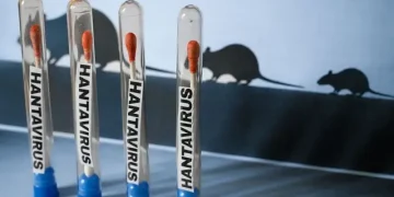 Llaman a mantener vigilancia sanitaria ante casos de hantavirus asociados a crucero internacional