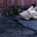 Entre cifras alarmantes y una realidad que preocupa: abordan desaparición de menores en México y Sonora