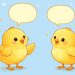 ¿Qué le dijo un pollito a otro?