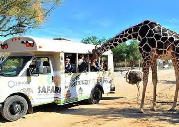 Centro Ecológico de Sonora aplica medidas por calor extremo
