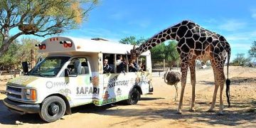 Centro Ecológico de Sonora aplica medidas por calor extremo