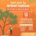Hermosillo más verde
