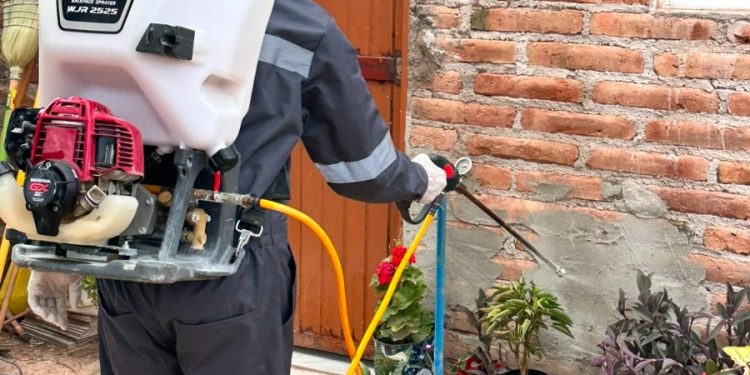 Realizan fumigaciones y bloqueos epidemiológicos para prevenir casos de rickettsia