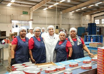 Destacan aporte de la sardina al desarrollo económico de Sonora