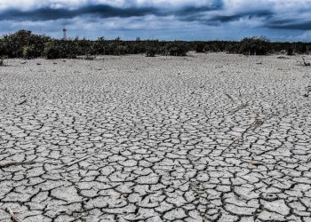 Lluvias en Sonora darán un respiro, pero no resolverán la sequía: Conagua