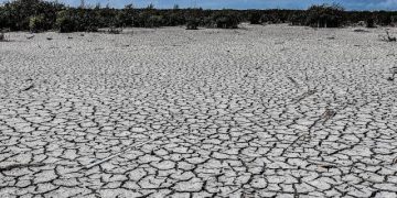 Lluvias en Sonora darán un respiro, pero no resolverán la sequía: Conagua