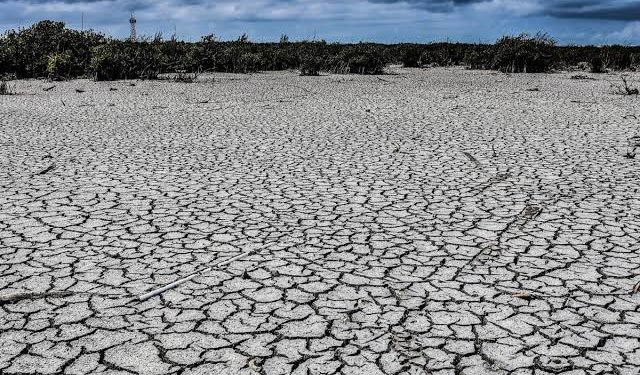 Lluvias en Sonora darán un respiro, pero no resolverán la sequía: Conagua