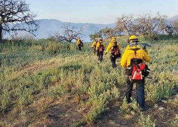 Controlan incendio forestal en Arivechi tras semanas de combate