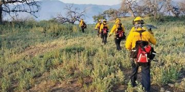 Controlan incendio forestal en Arivechi tras semanas de combate