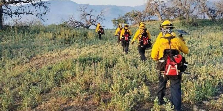 Controlan incendio forestal en Arivechi tras semanas de combate