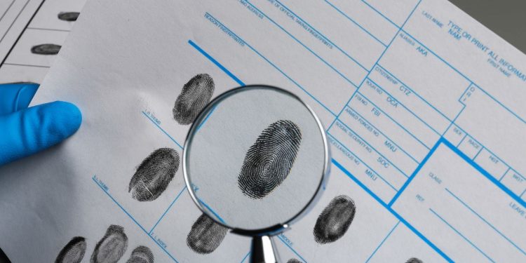 Centro de Identificación Forense en Sonora sigue sin operar al 100% por falta de presupuesto, advierte investigación