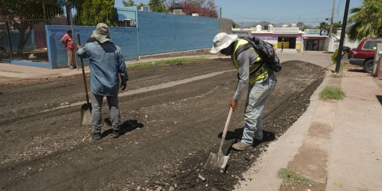 Refuerzan limpieza y mantenimiento urbano en la colonia Ocotillo 1 de Guaymas