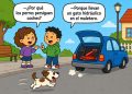 Gato en el carro