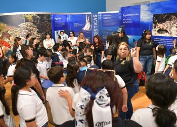Exposición “Tiburones” atrae a visitantes de distintos estados y países