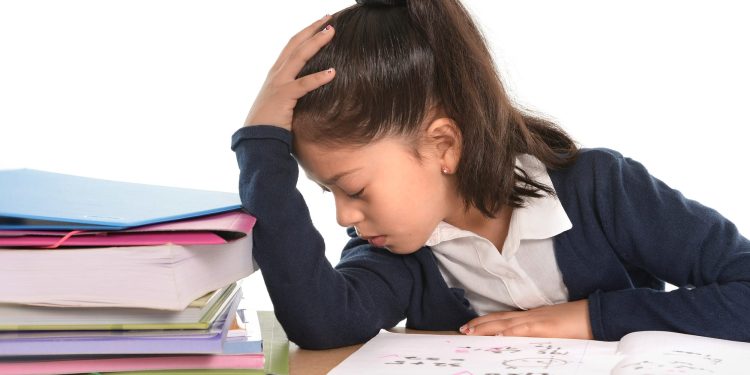 Educación inclusiva mantiene avances, pero aún enfrenta retos para garantizar la participación de todos