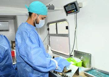 ¿Tienes perros o gatos? Habrá esterilizaciones gratuitas en Hermosillo; así puedes agendar