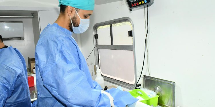 ¿Tienes perros o gatos? Habrá esterilizaciones gratuitas en Hermosillo; así puedes agendar