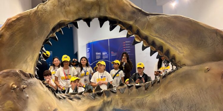 “Tiburones” conquista Hermosillo: suma más de 15 mil visitantes