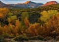 Otoño en Sonora: pequeños cambios para disfrutar una nueva temporada