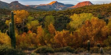 Otoño en Sonora: pequeños cambios para disfrutar una nueva temporada